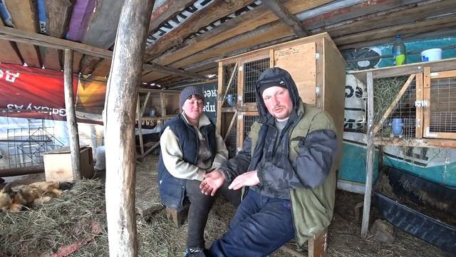 С чего начать жизнь в деревне. С каких животных лучше начинать своё хозяйство.