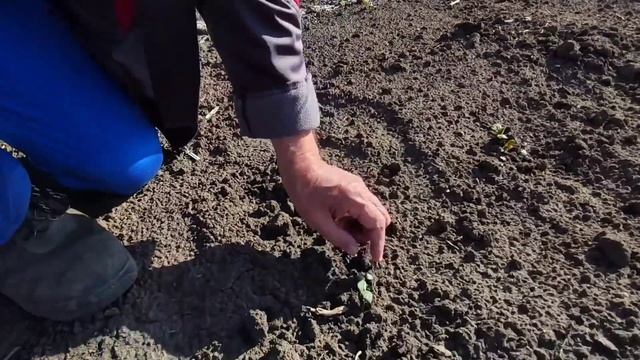 У мамы лучше получается, Обзор огорода, Домик в деревне смотреть онлайн