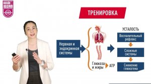 Тренировочный стимул. Урок 3. Виды физиологического ответа
