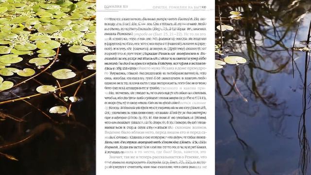 Читаем Оригена. Толкование книги Бытие. О Ревекке, жене Исаака (теокофейня Алексея Чернова). смотреть онлайн