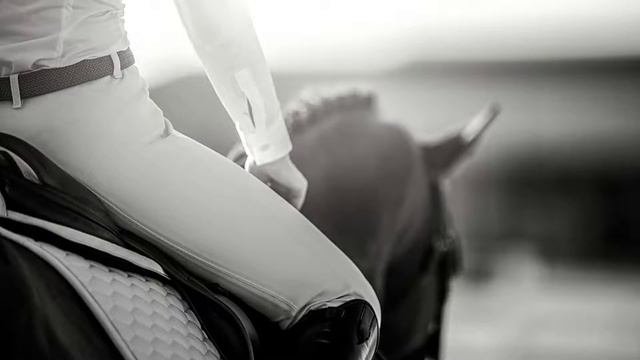 Aesop's Fable | The Horse and the Groom | _carm.elle_ Reading Corner смотреть онлайн