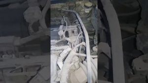 Вытекает масло из датчика распределения фаз Форд фокус 3