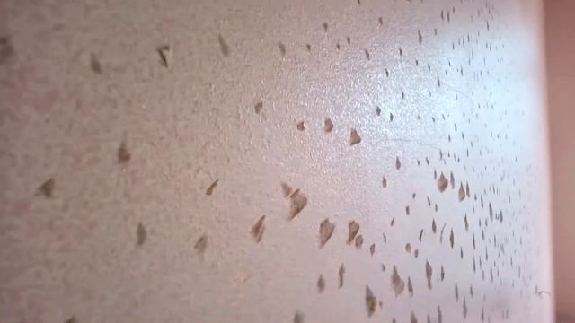 PS8 спрей машина за мазилки и хидроизолации смотреть онлайн