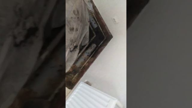 Как чистить канализацию не стоит смотреть онлайн