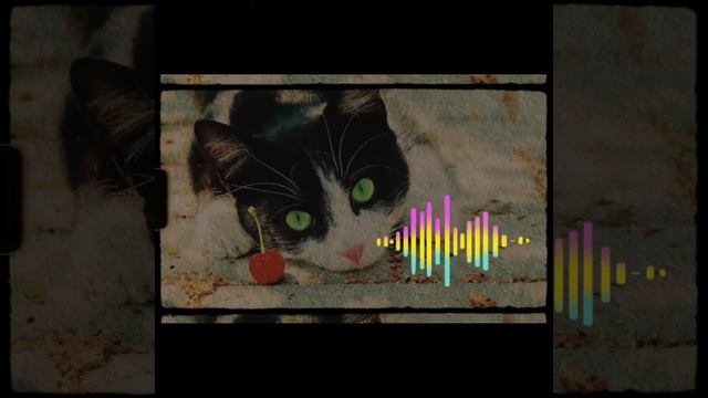 🙀ПОСЛУШАЙ ЭТУ МУЗЫКУ НА 0.1х И НА 9.0х В CUPCUT😻чит. оп💤 смотреть онлайн