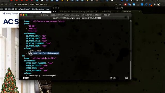 #Nginx Proxy Manager - управляем проксированием через WEB смотреть онлайн