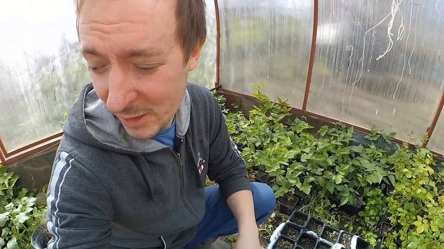 Самый выгодный БИЗНЕС в деревне.