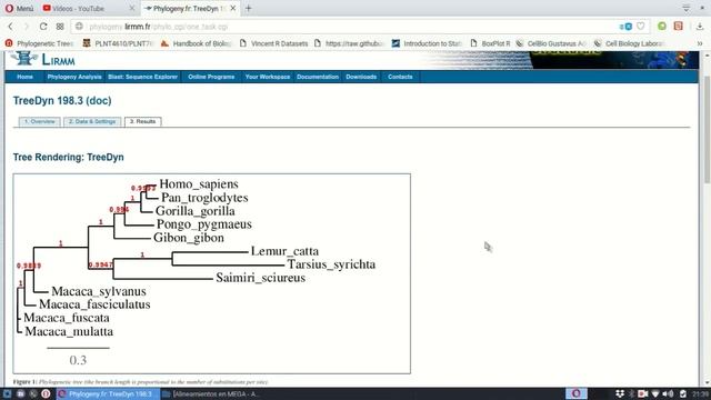 16. Abriendo arboles PHYML TreeDyn (Online) смотреть онлайн