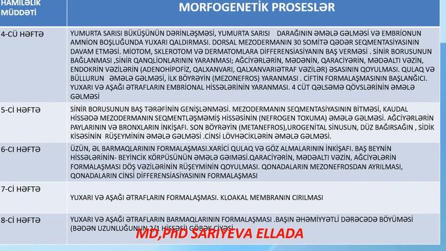 Mamalıq fənni.Mayalanma, implantasiya,embriogenez,ciftin formalaşması.Ana-döl qan dövranı смотреть онлайн