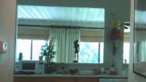 Tour Clyde Butcher's Swamp Cottage