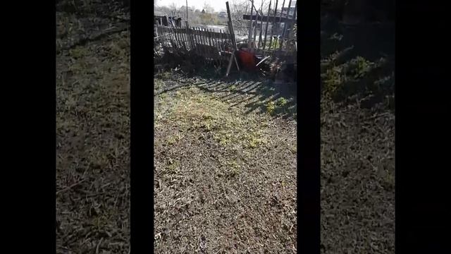 Расчистка участка под продажу смотреть онлайн