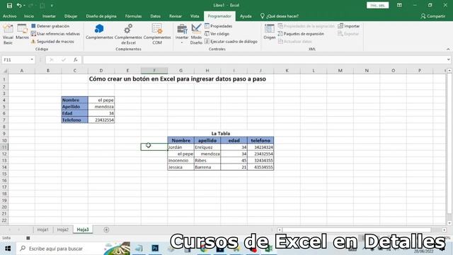 Cómo crear un botón en Excel para ingresar datos paso a paso - comoconfigurar смотреть онлайн