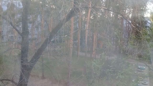 Самвел Адамян / Самвел готовится к новому событию, а также работает на Надю !!! смотреть онлайн
