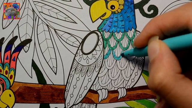 Раскраска Антистресс - Попугайка - 2 часть Coloring antistress by BAMBUSYA Colorful parrots - 2 par смотреть онлайн