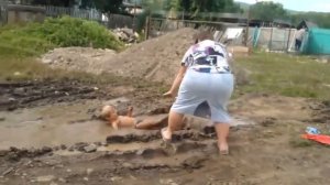 Купается в грязи, очень смешно)))