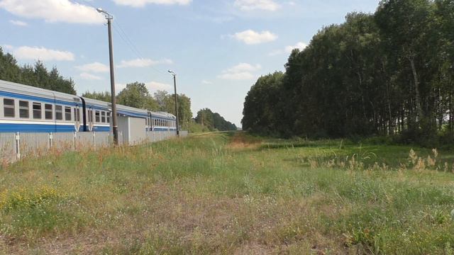 Дизель поезд ДР1А-295 на о.п. Дубно / DMU DR1А-295P at the Dubna stop. смотреть онлайн