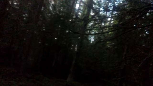 Veri Ruusu Jumalattaria смотреть онлайн