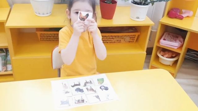 Павловский тракт (средняя группа). Лэпбуки смотреть онлайн