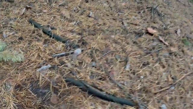 Тихая охота. Село Студенок. Quiet hunt. Studenok смотреть онлайн