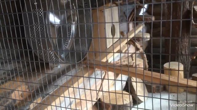 Как мы погуляли по территории и Контактному Зоопарку Термального Комплекса Баден- Баден Еткуль. смотреть онлайн