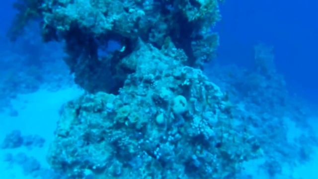 дайвинг на Красном море. Ras Umm Sid смотреть онлайн