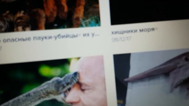 7 смертельно опасных пауков-монстров 7 spiders ----killer смотреть онлайн