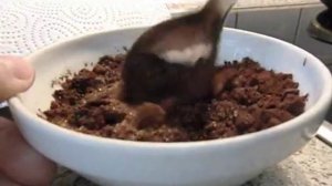 Скраб для тела шоколадно-кофейный. Подарки своими руками.