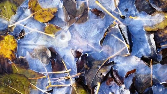 Ольга и её фотографии природы Латвии