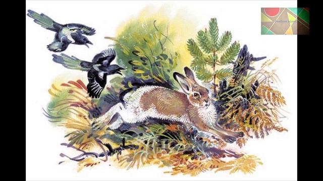 Н.Сладков "Сорока и заяц" смотреть онлайн