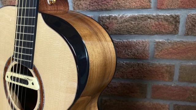 Endlich eine bezahlbare Fan Fret Akustikgitarre! Cort cut craft Limited Review // MusicBart смотреть онлайн