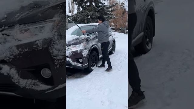 Toyota Rav4 XLE Coated by the Snow #calgaryalberta #viral #short #viralvideo #videos #snow #toyota смотреть онлайн