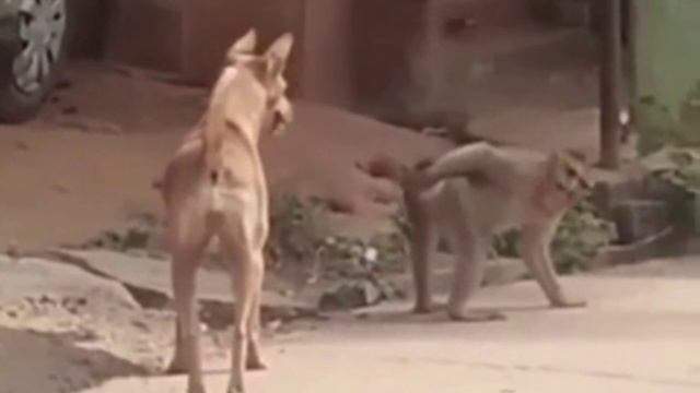 Нееее, второй раз не прокатит. смотреть онлайн