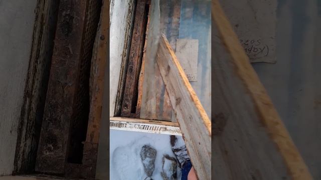 ЕЩЁ СТРАННОСТЬ. 2.12.23. смотреть онлайн