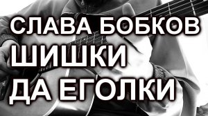 Слава Бобков - Шишки да иголки (cover)