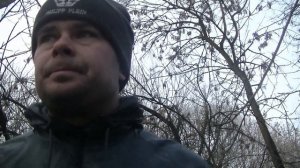 Краткий обзор стоеджер х50