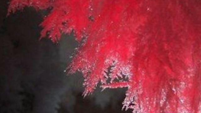 SCP-009 красный лёд(аудио) смотреть онлайн