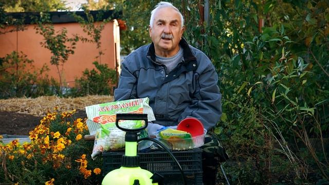 Дачные секреты. Обработка сада мочевиной: как не навредить? смотреть онлайн