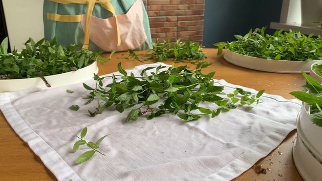 СтройМания