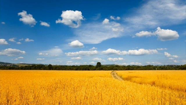 Ты моя Святая Русь смотреть онлайн