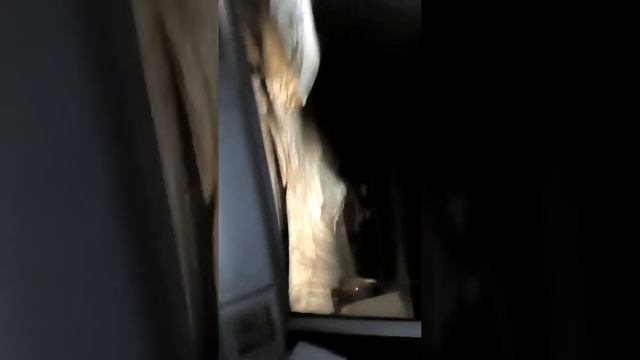 Чуть непопались ментам пакатушки на патриоте смотреть онлайн