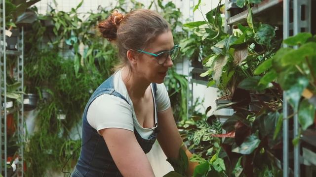 NOWOROCZNY PLANT TOUR po naszym magazynie i roślinna promocja na dobre rozpoczęcie roku! смотреть онлайн