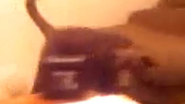 Git after it! смотреть онлайн