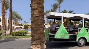 Reef Oasis Sentido отель мой отзыв Египет 2023