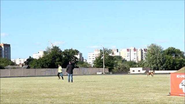 Н Кузнецова & Вяткинс Гард В 88 Brest CACIT-2016 смотреть онлайн