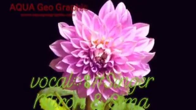 Amar moneri ghore je jon bosoti gore. # Singer Miron & Sima. смотреть онлайн