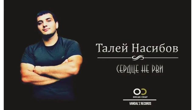 Талей Насибов -Сердце не рви 💔 смотреть онлайн