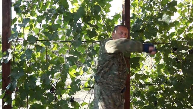 Моя боевая разминка 6 часть смотреть онлайн