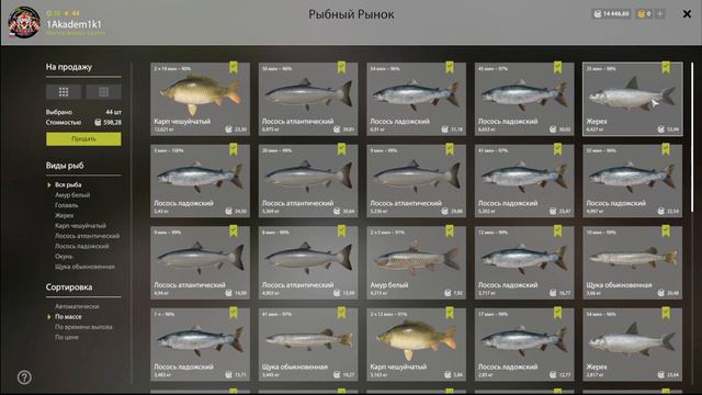 РУССКАЯ РЫБАЛКА 4 РЕКА ВОЛХОВ ОТЛИЧНЫЙ ФАРМ