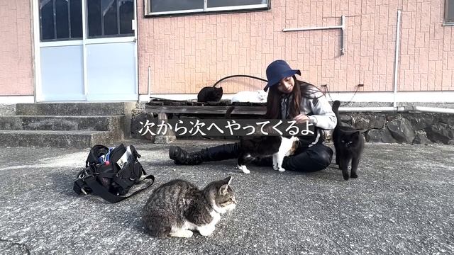 熊本、天草には天空の絶景がありました。｜suzuki hayabusa gsx1300r【モトブログ】 смотреть онлайн