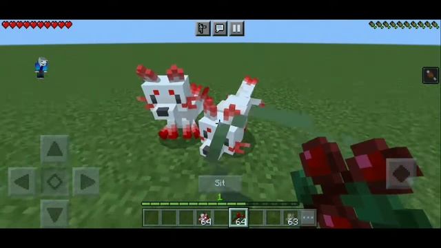 Minecraft: BEAUTIFUL FOXES [Mod/Addon]